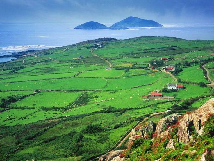 Green pastures of Ireland