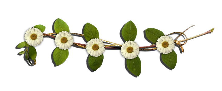 B-a_CosySpring-element017