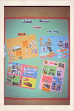 pizap.com13913737175171