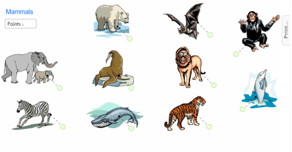 captura-de-pantalla-24